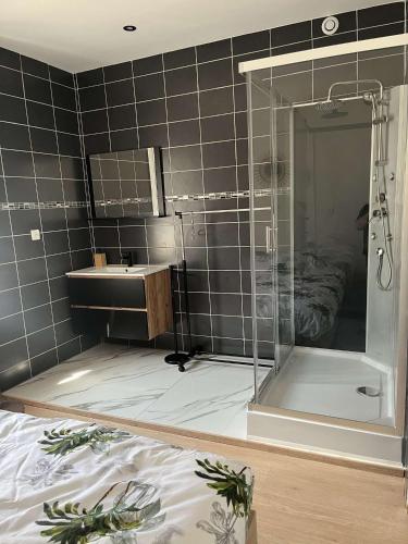 une salle de bain avec douche et lavabo dans l'établissement Appartement douzens, à Douzens