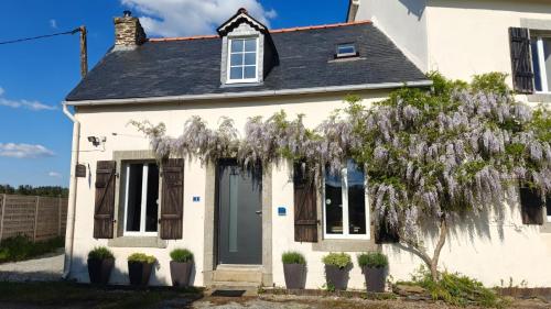 Gite Petite Florence