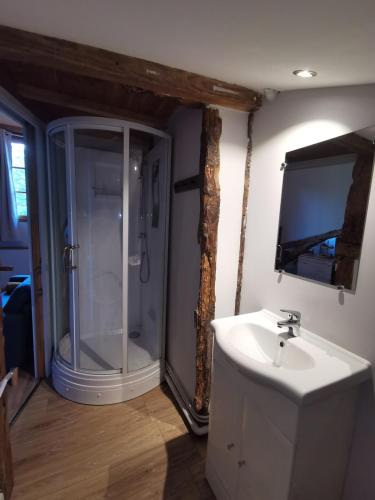 une salle de bain avec douche et lavabo dans l'établissement Grand Studio du moulin de Labarthe, à Fleurance