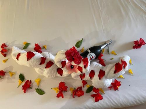 HOTEL Vitan273で提供されているドリンク