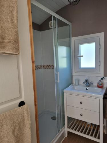 une salle de bain avec douche et lavabo dans l'établissement la petite maison verte, à Plévin