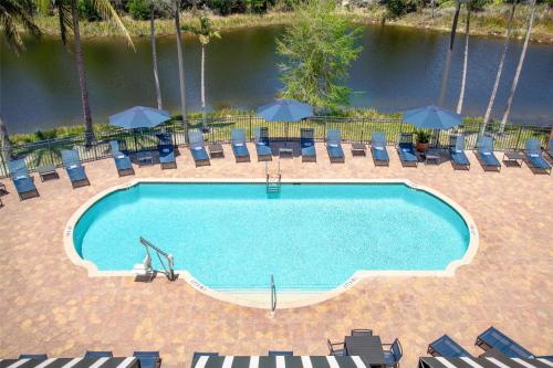 a large swimming pool with chairs and umbrellas at Embassy Suites Fort Myers - Estero in Estero