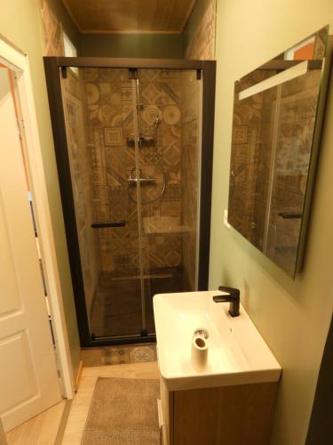 a bathroom with a shower and a white sink at la ferme de la chanvriole in Mercuer