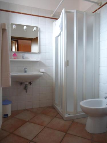 a bathroom with a shower and a sink and a toilet at AGRITURISMO Casa Riz in Cormòns
