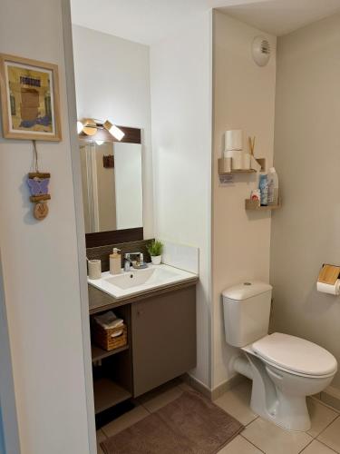 une salle de bain avec toilettes, lavabo et miroir dans l'établissement Appartement 1 chambre avec piscine, à Gréoux-les-Bains