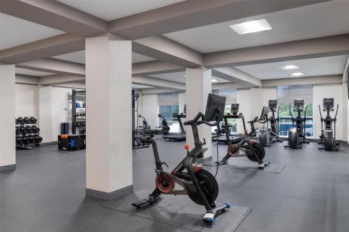 a gym with several treadmills and exercise bikes at Tru By Hilton Houston Downtown Convention Center in Houston