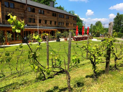 Gallery image of Sporthotel Barborka in Hluboká nad Vltavou