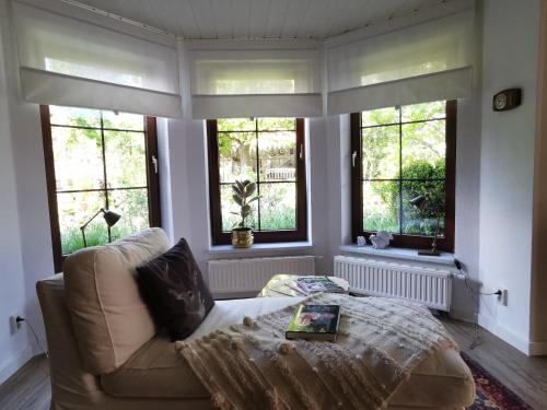 a living room with a couch and some windows at Gartenwohnung Paulsdorf in Dippoldiswalde