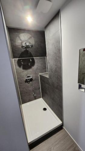 a bathroom with a shower with a sink at Appartement à Gravelines in Gravelines