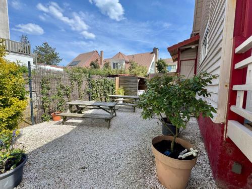 a patio with a picnic table and a potted plant at Petite maison de charme in Le Touquet-Paris-Plage