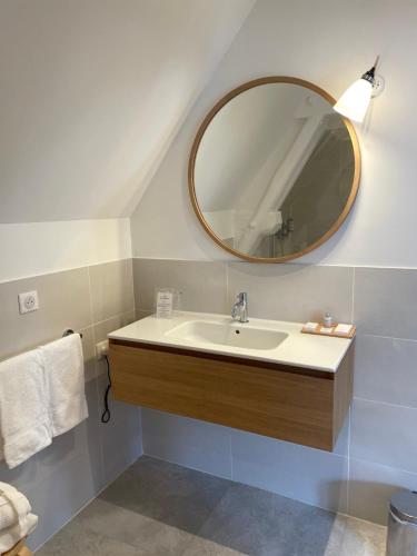 a bathroom with a sink and a mirror at Domaine de la Tortinière in Montbazon