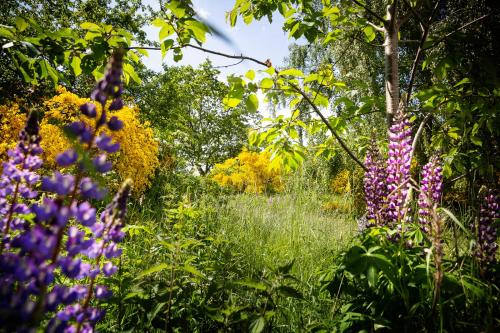 a garden with purple and yellow flowers and trees at Molslaboratoriet - Stuehuset in Ebeltoft