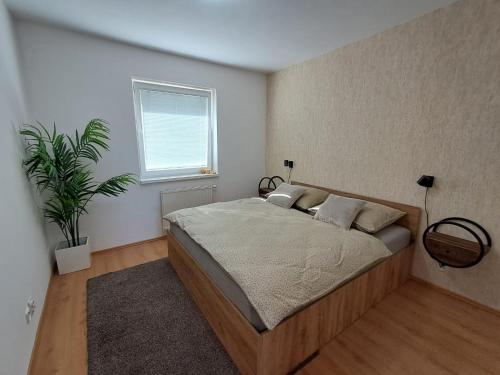 Un dormitorio con una cama y una planta en maceta. en Apartment SKI-BIKE-HIKE 2, Vyšné Ružbachy, en Vyšné Ružbachy