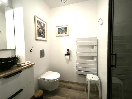 un bagno bianco con un water e un lavandino di Les Treilles de Salies - Spa et sauna intérieur a Salies-de-Béarn