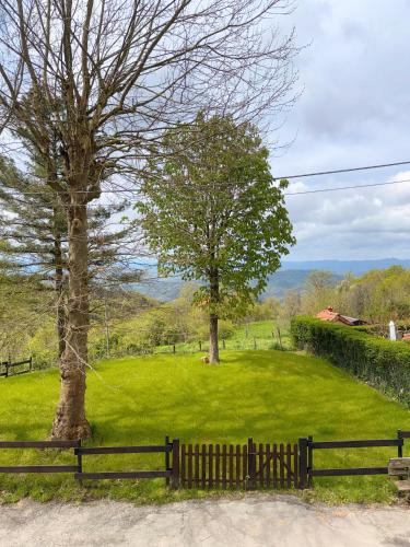 a park with a fence and two trees at Casa Mariuccia in Ponzone