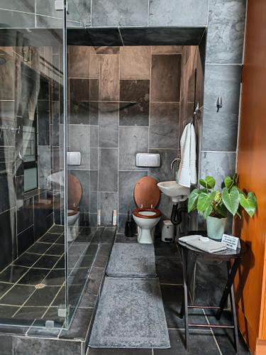 un bagno con doccia, WC e lavandino di Hidden Gem a George