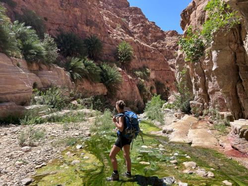 a person walking through a canyon with a backpack at Dana Village experience hotel in Dana