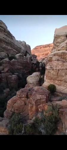 a view of a canyon with some rocks at Dana Village experience hotel in Dana