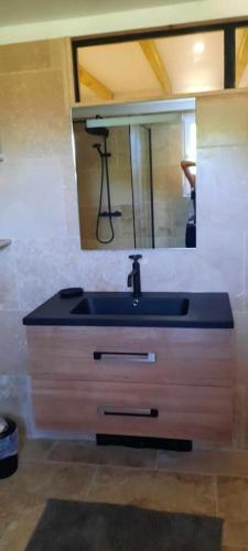 une salle de bain avec un lavabo et un miroir dans l'établissement Les gites du Treil - 2 Grandes piscines privées- 9 chambres - 20 personnes, à Courbiac