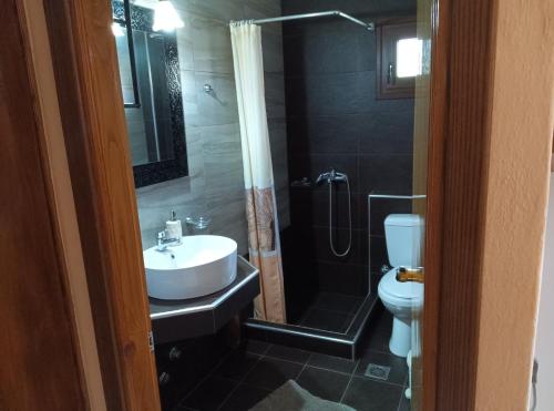 a bathroom with a sink and a toilet and a shower at Πανσιόν Άγγελος in Ouranoupoli