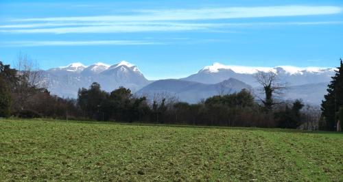 a field with snow capped mountains in the background at Paradis Provencal Le Calme total, Grande Piscine et Jacuzzi Chauffé, Salle de Jeux et Fresque du Nougat, Intimité in Montélimar