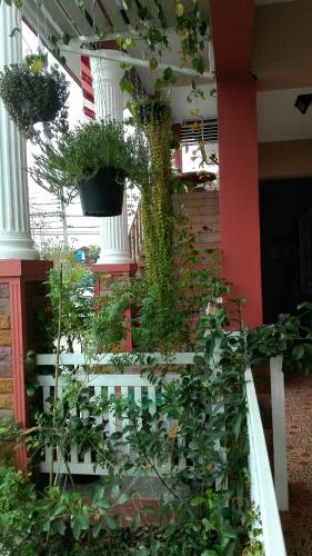 a bunch of plants are growing on a building at Lampang Lanna Home in Lampang