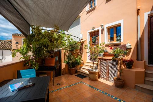 a patio with a bunch of potted plants at Eliasneil in Andratx