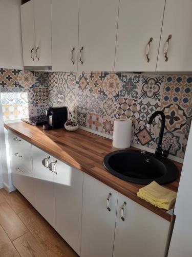a kitchen with a sink and a counter top at Wine Road Apartment in Gura Vadului