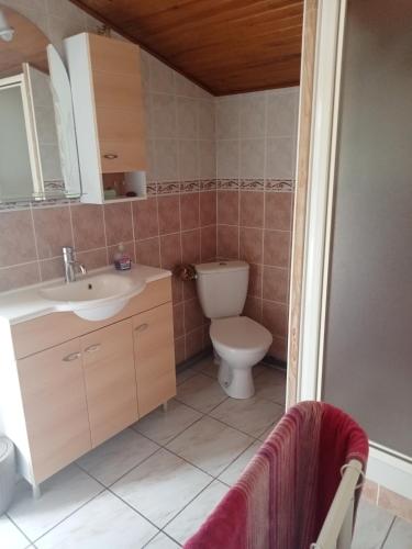 une salle de bains avec toilettes et lavabo dans l'établissement Chambre d hôte, à La Celle-sous-Gouzon