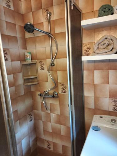 une douche avec pommeau de douche dans une salle de bain dans l'établissement à l'orée du bois, à Avallon