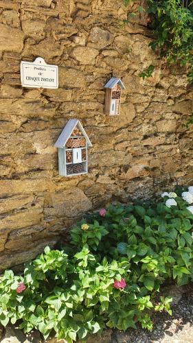 Κήπος έξω από το La Ferme des Andes - Gîte l'Atelier