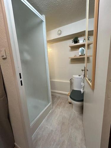 La salle de bains est pourvue de toilettes et d'une porte de douche en verre. dans l'établissement Appartement CAP D'AGDE 2-4 pers, au Cap d'Agde
