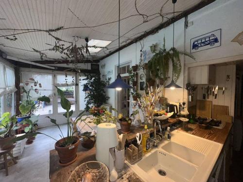 une cuisine avec un évier et beaucoup de plantes en pot dans l'établissement Nice Signature Baracca, à Nice