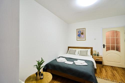 Cozy Studio - Near Airport - Botanica