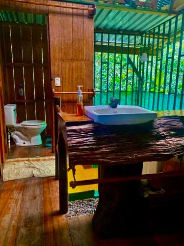 a bathroom with a sink and a toilet at Shared Beach House in Drake
