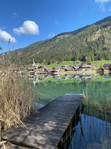 Seeland Techendorf 101