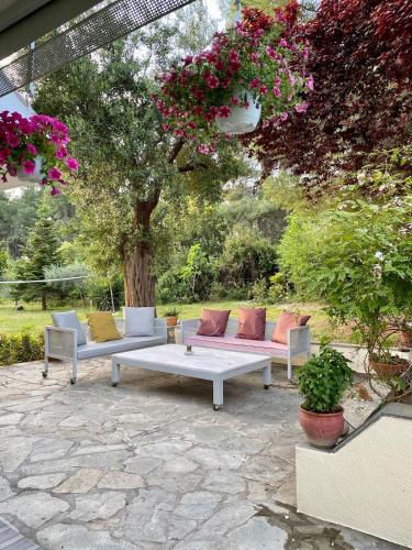 Family house 5' from beach