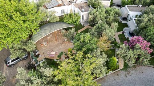 Κήπος έξω από το Ergül Motel