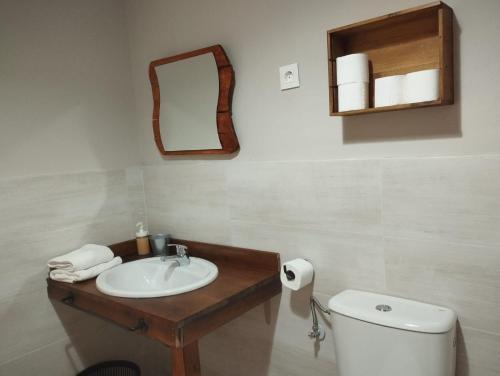 a bathroom with a sink and a toilet and a mirror at Centro Ecoturismo Barbatona Sigüenza in Barbatona
