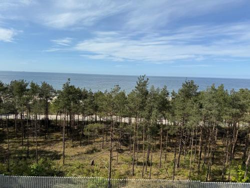 a view of a beach with trees and the ocean at Waveview Premium Apartment Międzyzdroje in Międzyzdroje