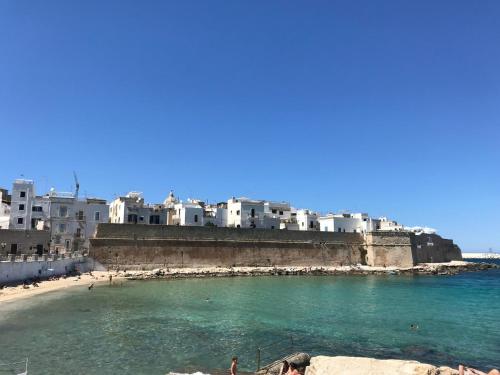 vistas a una playa con edificios blancos y al océano en Sea View Romantic Apartments Al Vecchio Porto, en Monopoli