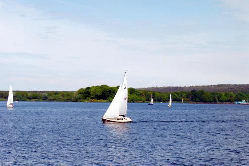 a group of small sailboats on a large lake at Ferienwohnung Mamat in Haltern