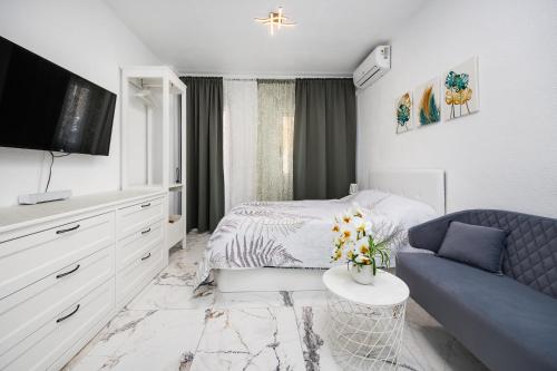 ESTUDIO Caballero de Rodas