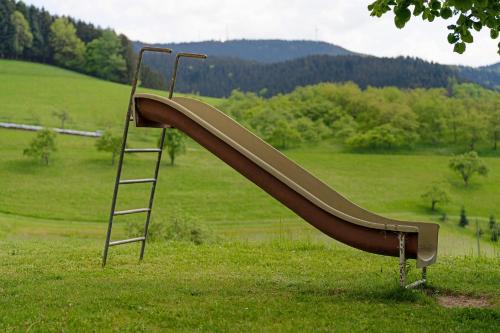 a slide in a field with a ladder at Schwarzwaldliebe in Oberharmersbach