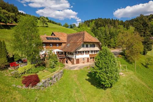 an aerial view of a house on a hill at Schwarzwaldliebe in Oberharmersbach