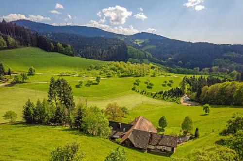 a farm in a green field with trees and mountains at Schwarzwaldliebe in Oberharmersbach