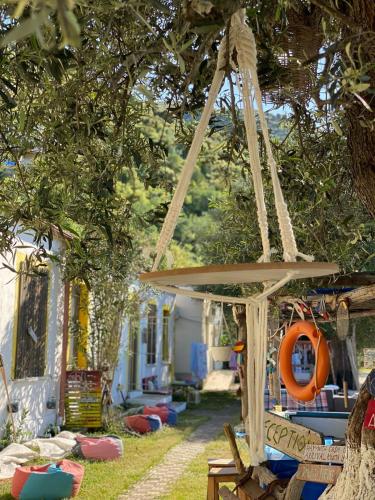 Gallery image of Shkolla Hostel & Camping in Vuno