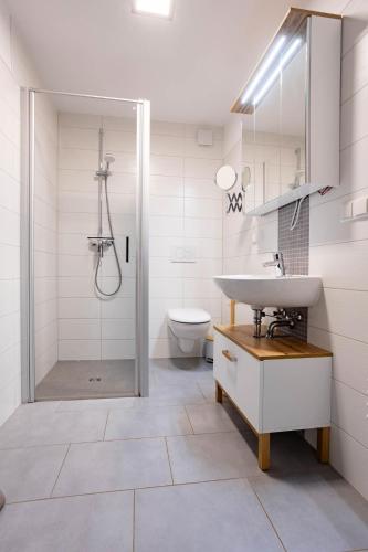 a bathroom with a sink and a shower and a toilet at Remise in Lübbenau