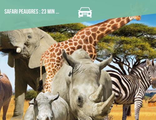a giraffe a zebra and a giraffe and some animals at Les Volets Bleus - Centre ville - WIFI by CLÉ HÔTES in Saint-Vallier