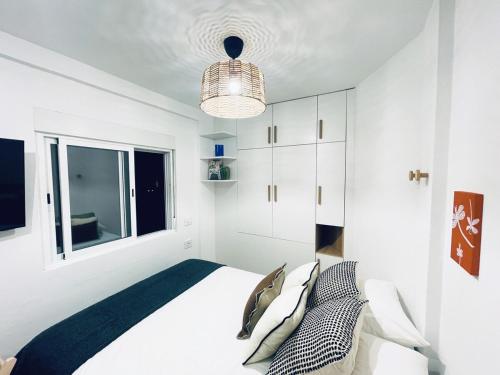 Holiday Studio Koka